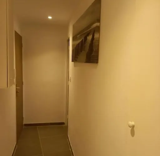 Superbe Fabregas 라센느쉬르메르